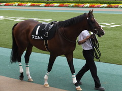 20160528 東京9R 富嶽賞(1000) プエルト 10