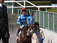 20170225 阪神4R 3歳未勝利 サテンドール 19