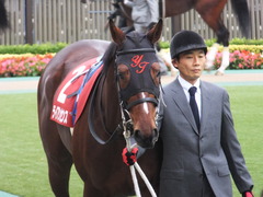 201301109 東京 ライアンセンス 04
