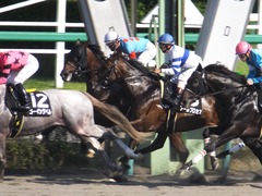 20150912 中山10R 鋸山特別 1000万下 ヴィルトグラーフ 13