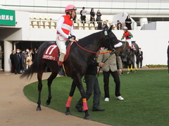20150125 中山11R AJCC(G2) ショウナンラグーン 11