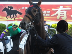 2013 中山競馬場 オウケンブラック 10