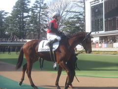 20120128 東京 メジロカトリーヌ＆高嶋騎手