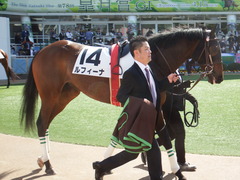 20180325 中山1R 3歳未勝利 ルフィーナ 03