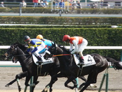 20140316 中山6R ショウナンラグーン 18