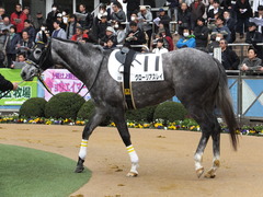 20150315 中山5R 3歳未勝利 グローリアスレイ 08