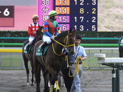 20151031 東京11R アルテミスS(G3) テイケイレーヴ 12