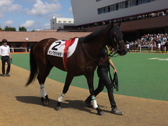 20140907 札幌4R キングラナキラ 03