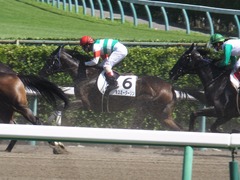 20170918 中山6R 3歳未勝利 キスミーダーリン 18