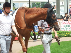 20180722 函館5R 2歳メイクデビュー クラサーヴィツァ 09