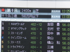 20140531 東京6R オウケンブラック 01