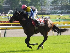 20160430 東京11R 青葉賞(G2) プロディガルサン 17