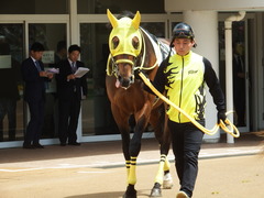 20180415 中山4R 3歳未勝利 マイティテソーロ 07