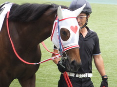 20170611 東京6R 2歳牝馬メイクデビュー サラート 07