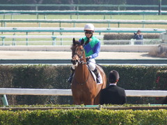 20180224 中山4R 4歳上障害未勝利 トーセンカナロア 16