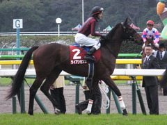 201301109 東京 ライアンセンス 10