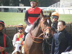 20190126 東京5R 3歳未勝利 ピンシェル 19