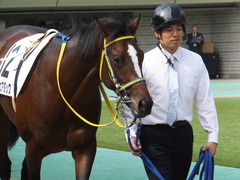 20141026 東京4R ラッシュアタック 07