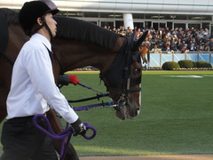 20131207 中山競馬場 ユーロビート 08<br />