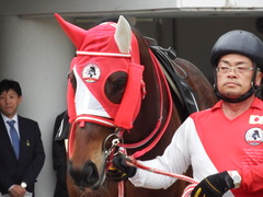 20180415 中山9R 鹿野山特別(1000) ピッツバーグ 08
