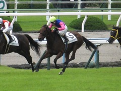 20171014 京都3R 2歳未勝利 メイショウカラタチ 14