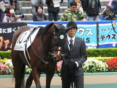 20161030 東京4R 2歳メイクデビュー ビルズトレジャー 06