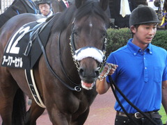 20161016 新潟12R 鳥屋野特別(500) アークアーセナル 05