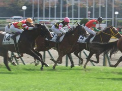 20181124 東京3R 2歳未勝利 ストレートパンチ 16