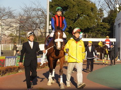 20170215 大井11R 金盃(S2) ユーロビート 21
