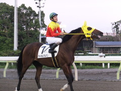 20160518 大井8R B3 マイネルグルマン 12