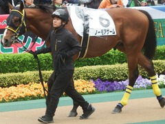 20190427 東京12R (1000) ノーモアゲーム 05