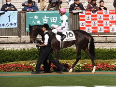 20131116 東京 サンドラバローズ11