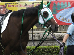 20150621 東京5R 2歳メイクデビュー カズノメガミ 08