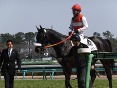 20140316 中山6R ショウナンラグーン 20