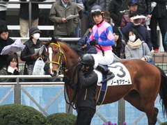 20160312 中山6R 3歳500万下 ノーモアゲーム 12