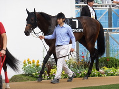 20150927 中山9R 芙蓉S プロディガルサン 04