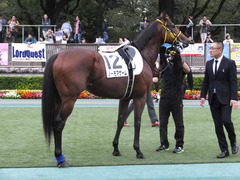 20161022 東京12R (1000) ノーモアゲーム 11