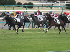 20150315 中山5R 3歳未勝利 グローリアスレイ 14