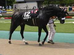 20150628 東京11R パラダイスS ショウナンアチーヴ 06