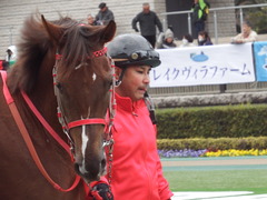 20190126 東京10R クロッカスS 3歳OP オトナノジジョウ 09