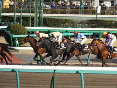 20150228 中山11R 総武S 4歳上1600万下 ベルゲンクライ 13