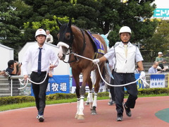 20140915 大井11R 東京記念 ユーロビート 03