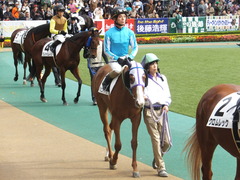 20141130 東京6R 3歳上500万下 バシニアティヴ 15