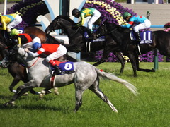20140504 京都11R 天皇賞春 ノブレス&ゴルシ 04