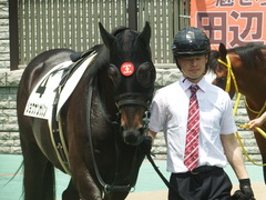 20190504 東京4R 3歳未勝利 ショウナンサジン 14