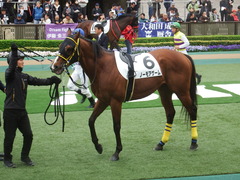 20190427 東京12R (1000) ノーモアゲーム 14