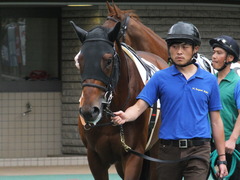 20170618 東京4R 3歳未勝利 ホウオウジャンプ 06
