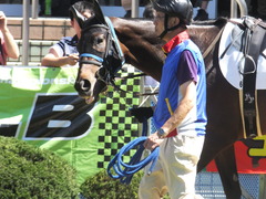 20170918 中山6R 3歳未勝利 キスミーダーリン 05