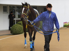 20150308 中山5R 3歳未勝利 ラッシュアタック 03