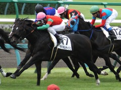 20150926 中山7R 3歳上500万下 マイネルサージュ 13